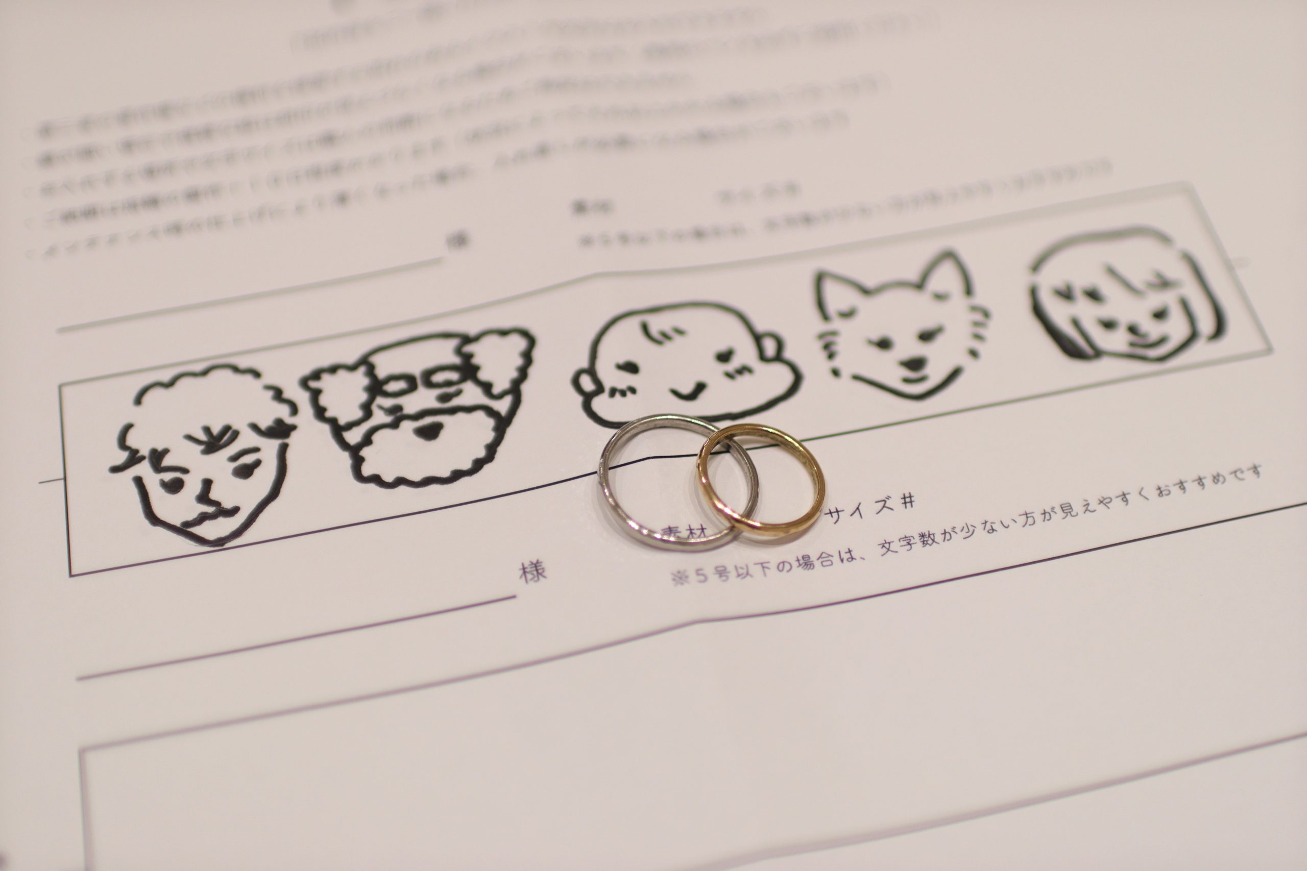 一生の思い出ができました！！🐶👶🐶〈鳥取県境港市〉